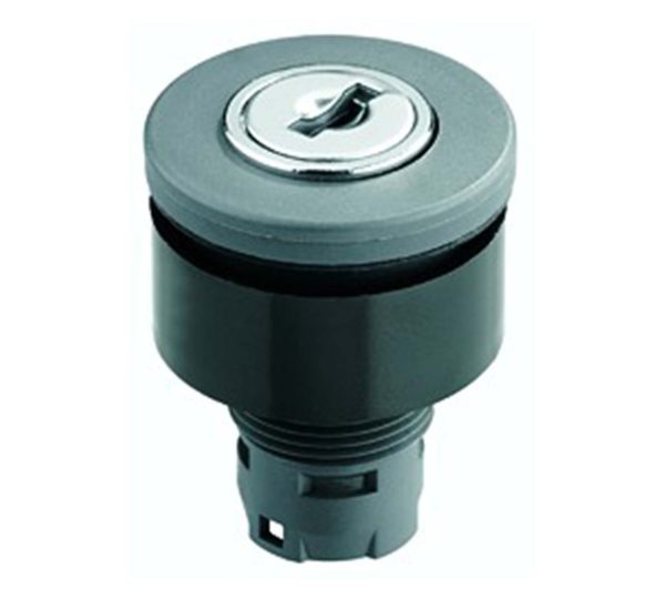 RXJSSA17E Maintained Key Switch Head for Industrial Use RXJSSA17E Product Image